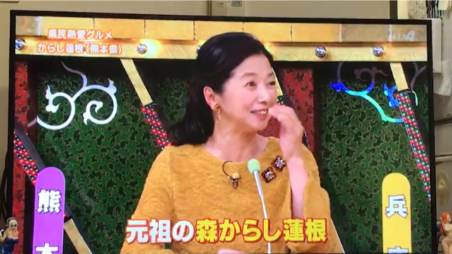 ケンミン画像　宮崎美子