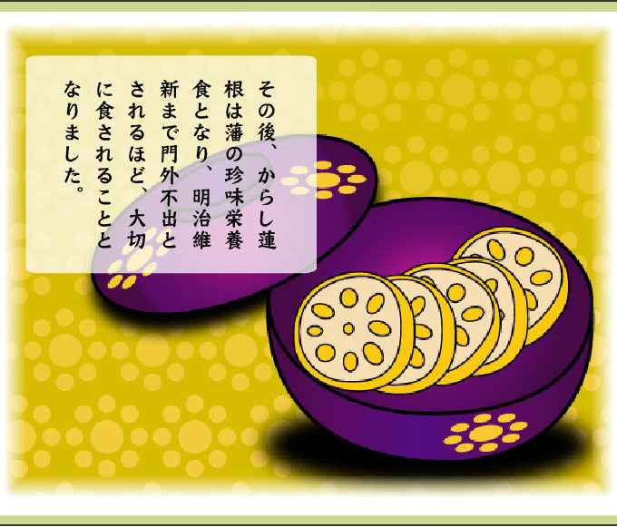その後、からし蓮根は藩の珍味栄養食となり、明治維新まで門外不出とされるほど、大切に食されることとなりました。
